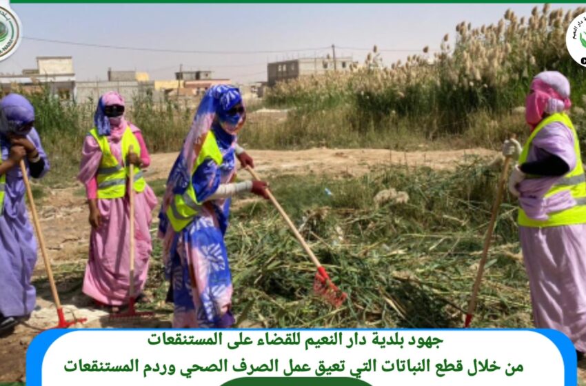  بلدية دار النعيم تنظم  حملة لقطع النباتات الناجمة عن المستنقعات
